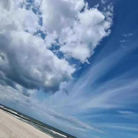 Kuestenoase - Wilke Gm 69934 *