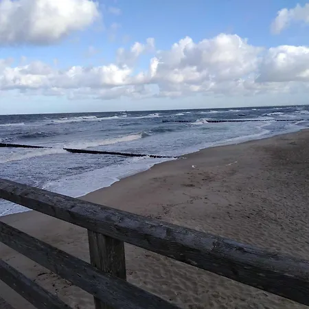 Küstenoase - Wilke Gm 69934 *