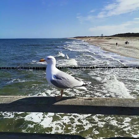 דירה Kuestenoase - Wilke Gm 69934 Muritz