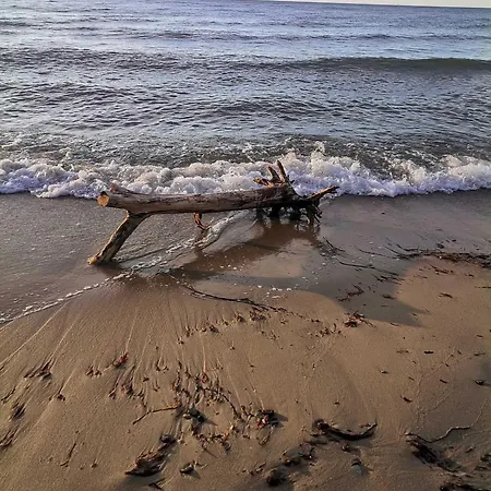 Kuestenoase - Wilke Gm 69934